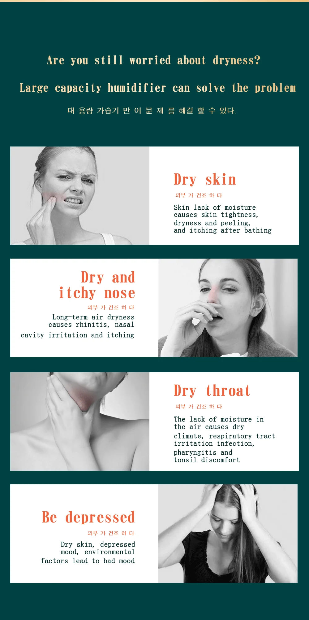 2000ml Dual Spray USB Humidifier